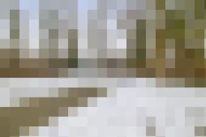 Lijnackerslaan 46 Onstwedde thumbnail 32