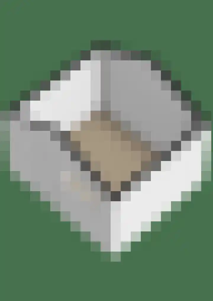 Lijnackerslaan 46 Onstwedde thumbnail 40