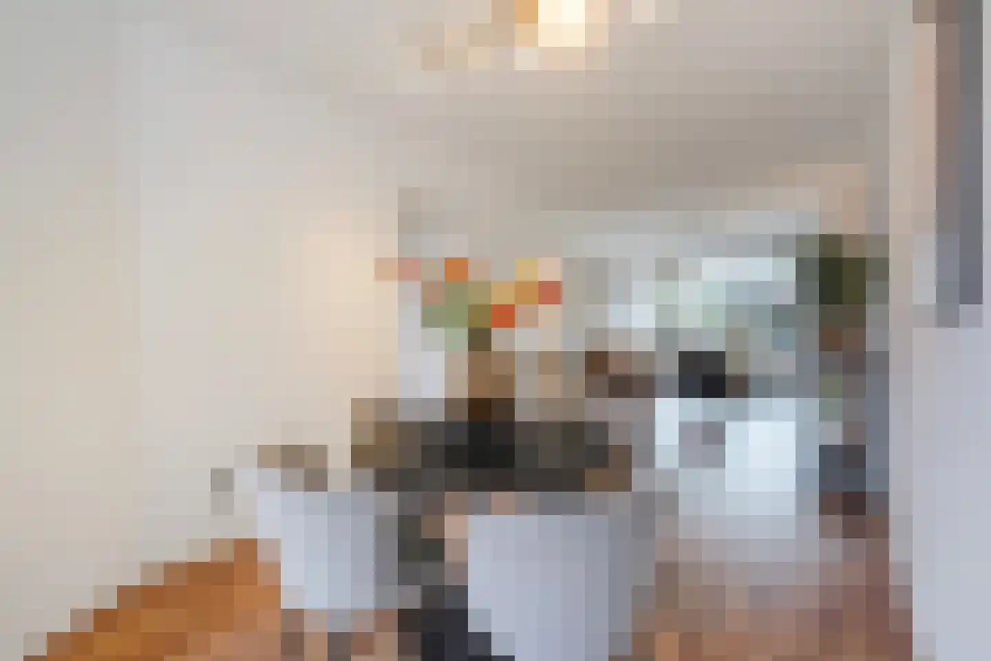 Lijnbaan 130 Den Haag thumbnail 17