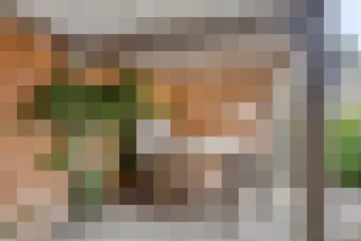 Lijnbaan 28 Goes thumbnail 4