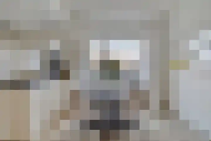 Lijnbaan 28 Goes thumbnail 8