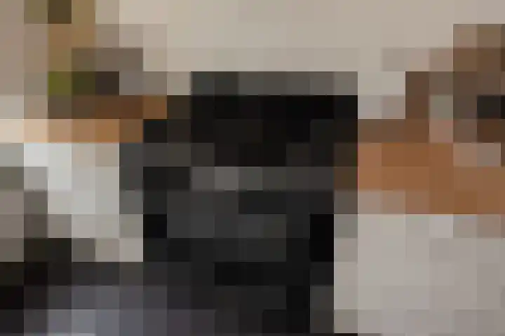 Lijnbaan 60 Zoetermeer thumbnail 17