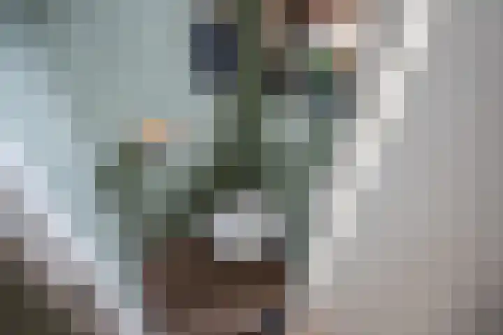 Lijnbaan 60 Zoetermeer thumbnail 20