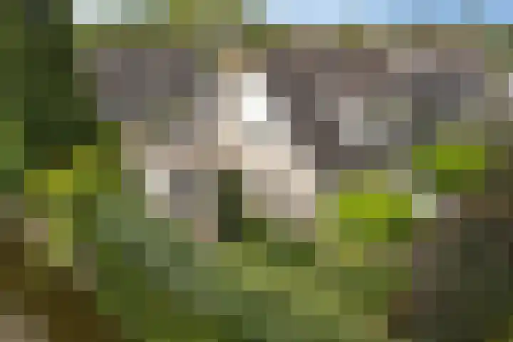 Lijnbaan 7 Oudewater thumbnail 10