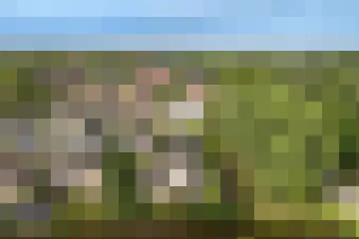 Lijnbaan 7 Oudewater thumbnail 12