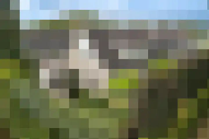 Lijnbaan 7 Oudewater thumbnail 13