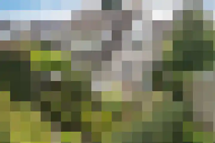 Lijnbaan 7 Oudewater thumbnail 14