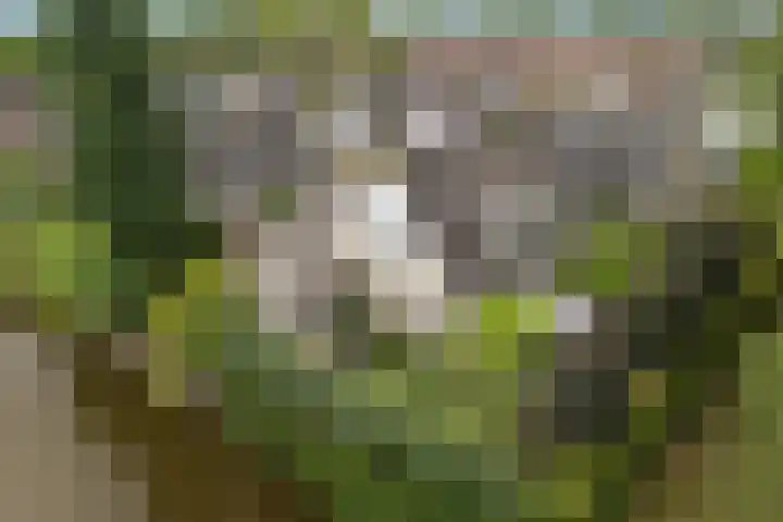 Lijnbaan 7 Oudewater thumbnail 15