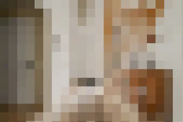 Lijnbaan 7 Oudewater thumbnail 16