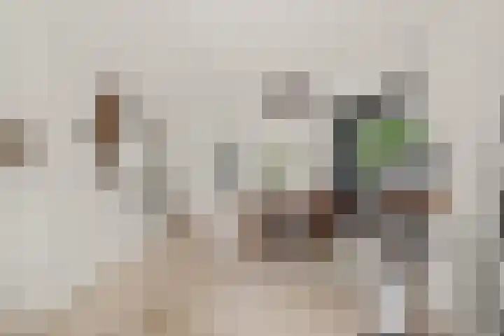 Lijnbaan 7 Oudewater thumbnail 22