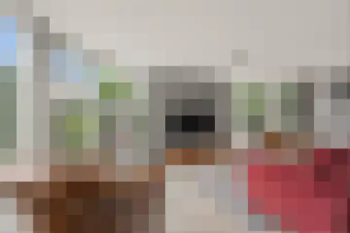 Lijnbaan 7 Oudewater thumbnail 29