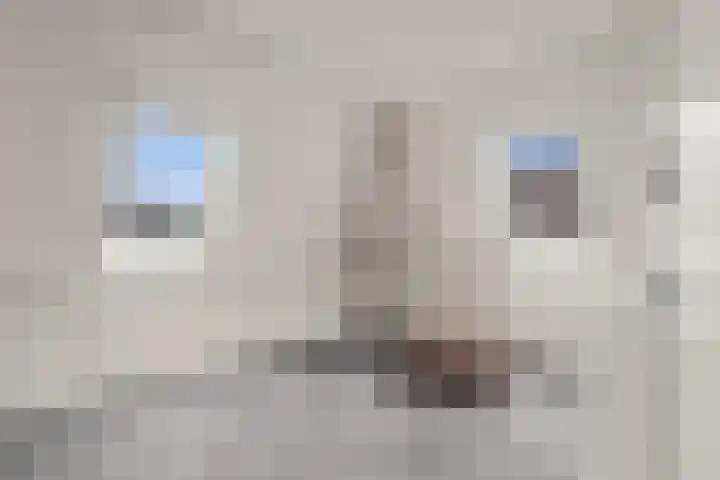 Lijnbaan 7 Oudewater thumbnail 47