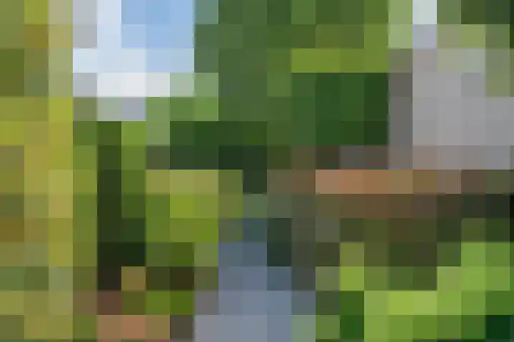 Lijnbaan 7 Oudewater thumbnail 55