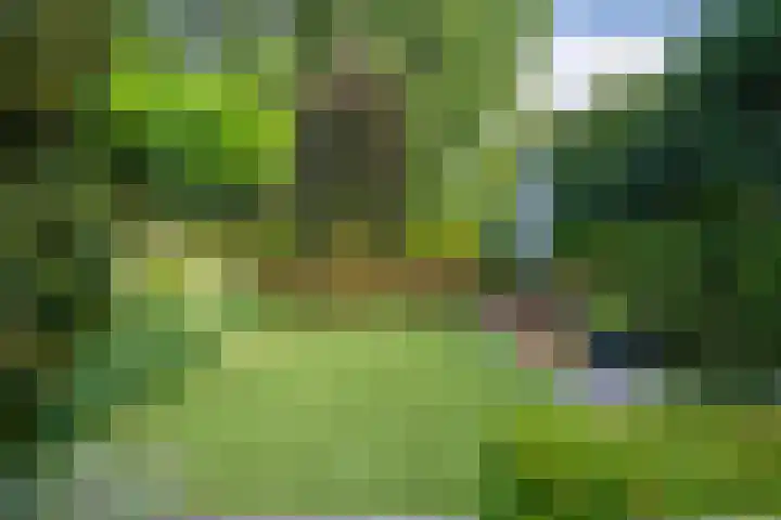 Lijnbaan 7 Oudewater thumbnail 59