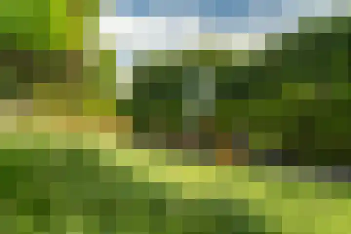Lijnbaan 7 Oudewater thumbnail 64