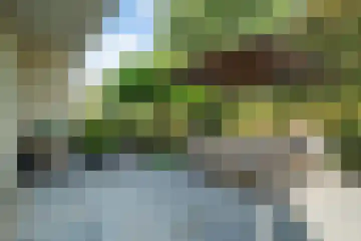 Lijnbaan 7 Oudewater thumbnail 65