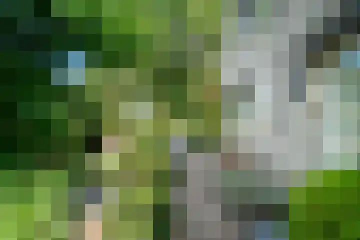 Lijnbaan 7 Oudewater thumbnail 69