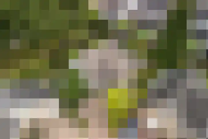 Lijnbaan 7 Oudewater thumbnail 7