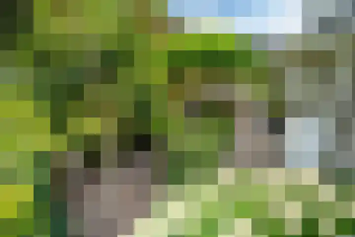 Lijnbaan 7 Oudewater thumbnail 71