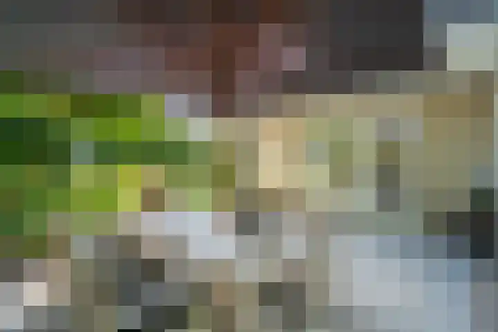 Lijnbaan 7 Oudewater thumbnail 72