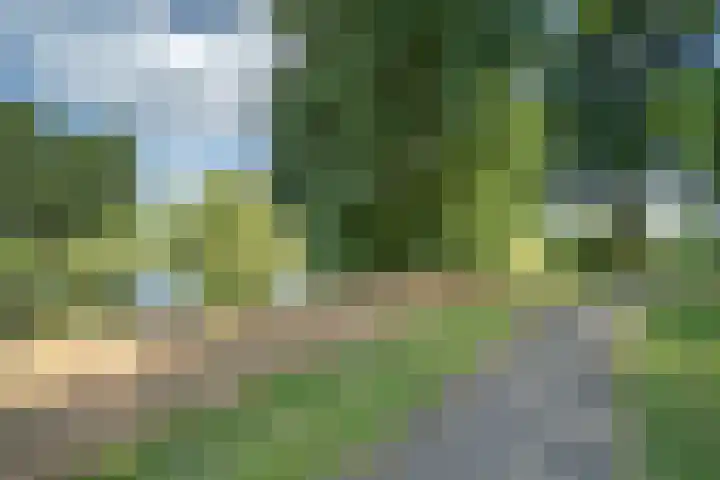 Lijnbaan 7 Oudewater thumbnail 75