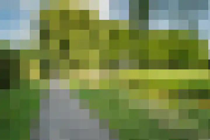 Lijnbaan 7 Oudewater thumbnail 77