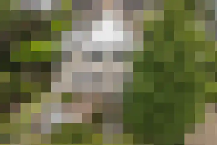 Lijnbaan 7 Oudewater thumbnail 9