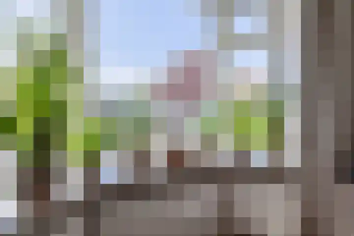 Lijnbaan 74 Lemmer thumbnail 10