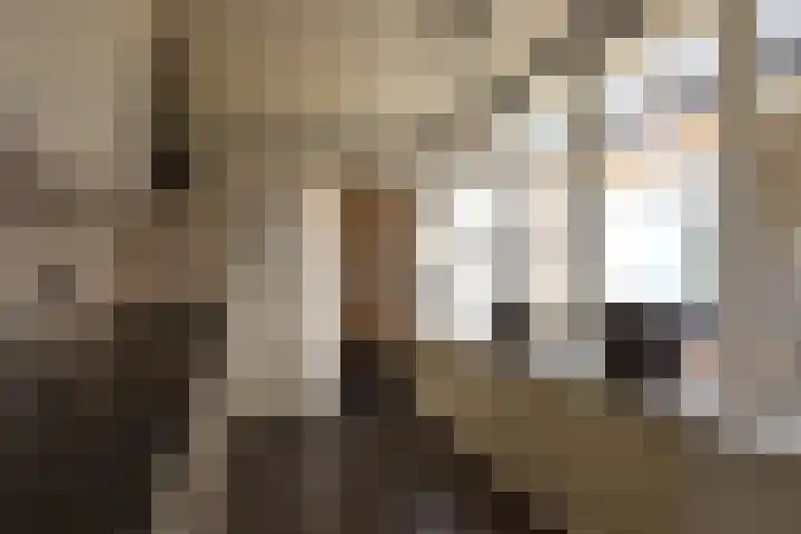 Lijnbaan 9 Leek thumbnail 13