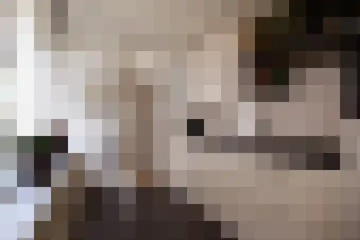 Lijnbaan 9 Leek thumbnail 16