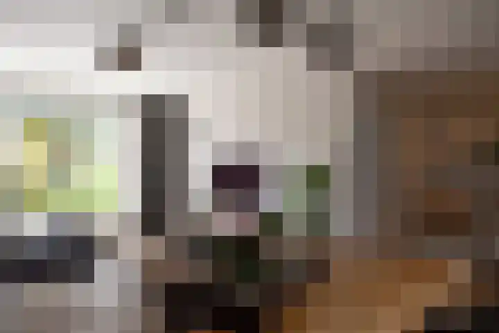 Lijnbaan 9 Leek thumbnail 19