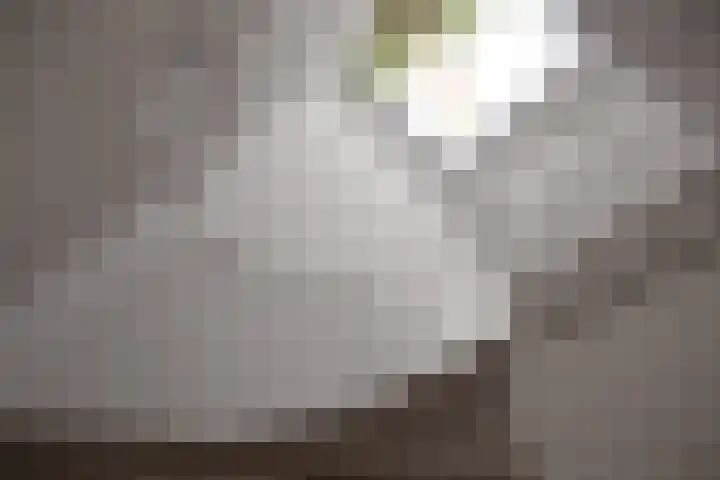 Lijnbaan 9 Leek thumbnail 23