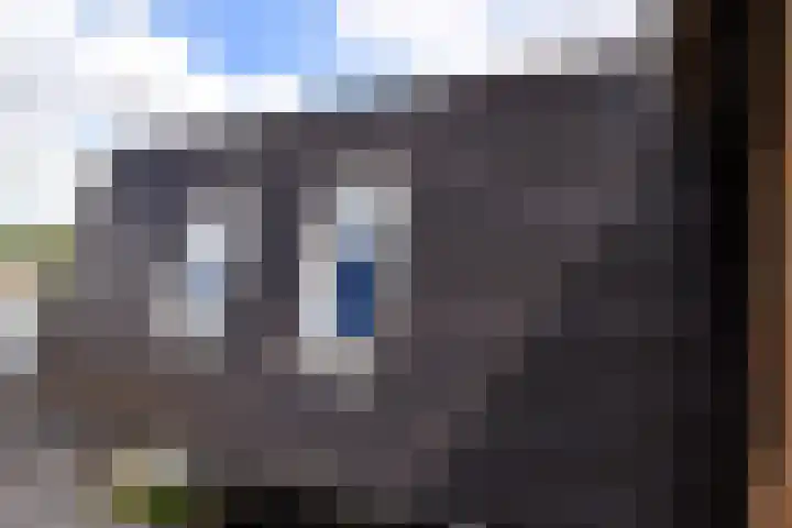 Lijnbaan 9 Leek thumbnail 26
