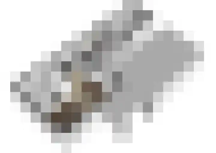Lijnbaan 9 Leek thumbnail 32