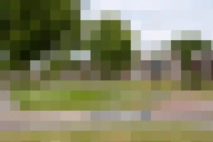 Lijnbaan 9 Leek thumbnail 37