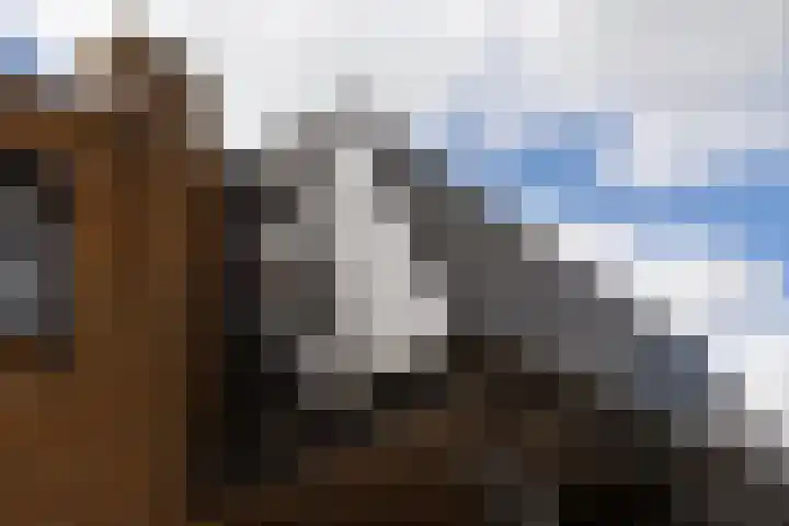 Lijnbaan 9 Leek thumbnail 5