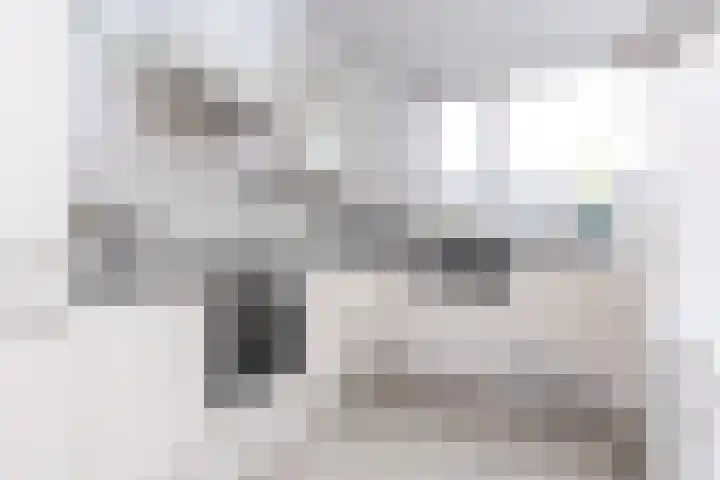 Lijndraaier 110 Hoorn thumbnail 18