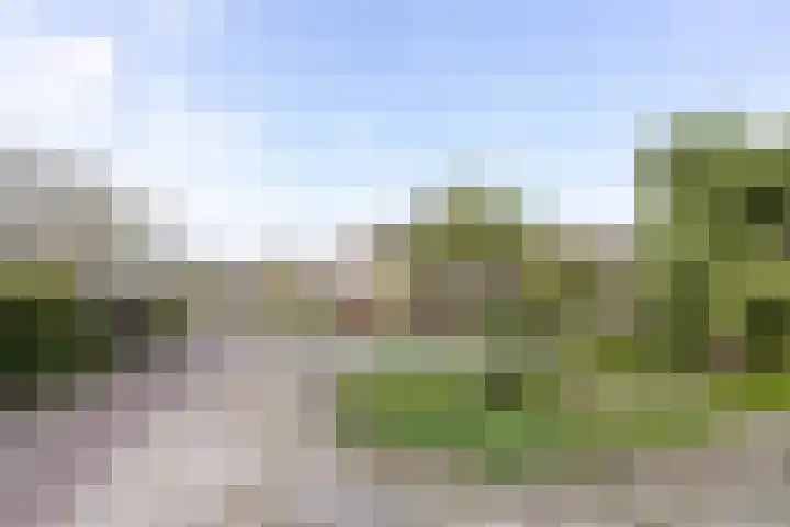 Lijndraaier 110 Hoorn thumbnail 39