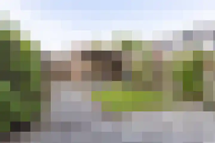 Lijndraaier 110 Hoorn thumbnail 4