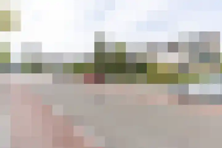 Lijndraaier 110 Hoorn thumbnail 5