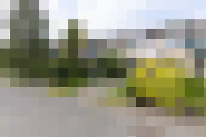 Lijndraaier 110 Hoorn thumbnail 6