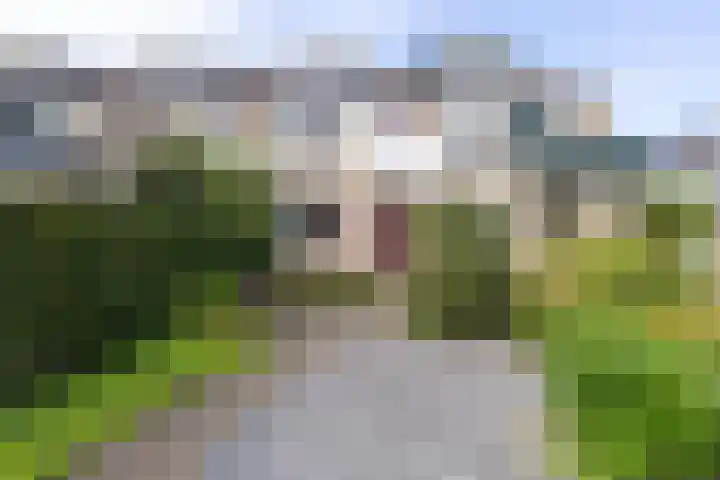 Lijndraaier 110 Hoorn thumbnail 8