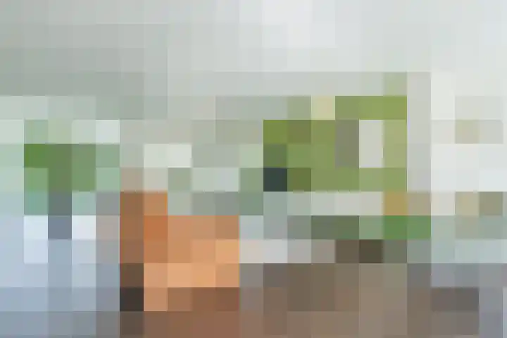 Lijnland 2 Vledder thumbnail 10