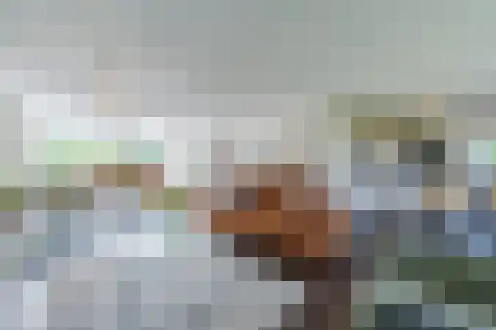 Lijnland 2 Vledder thumbnail 11