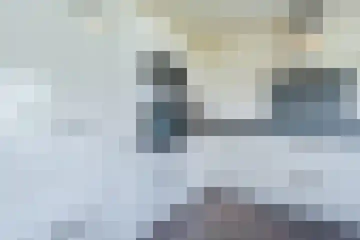 Lijnland 2 Vledder thumbnail 15