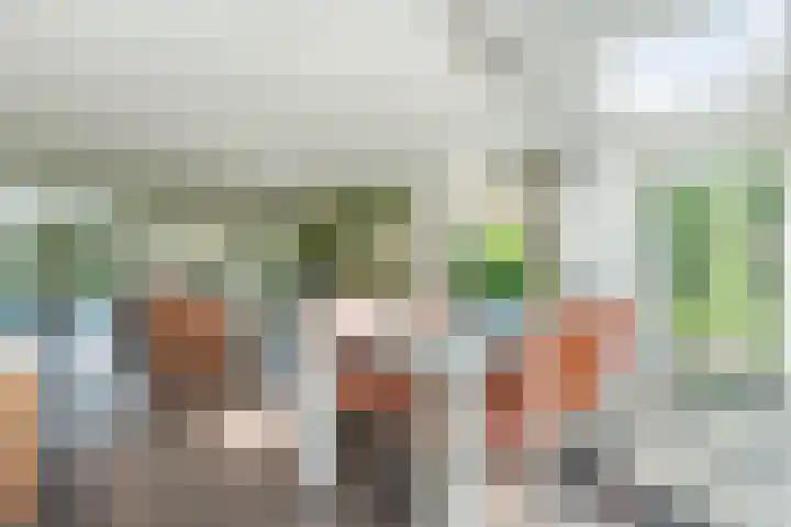 Lijnland 2 Vledder thumbnail 16