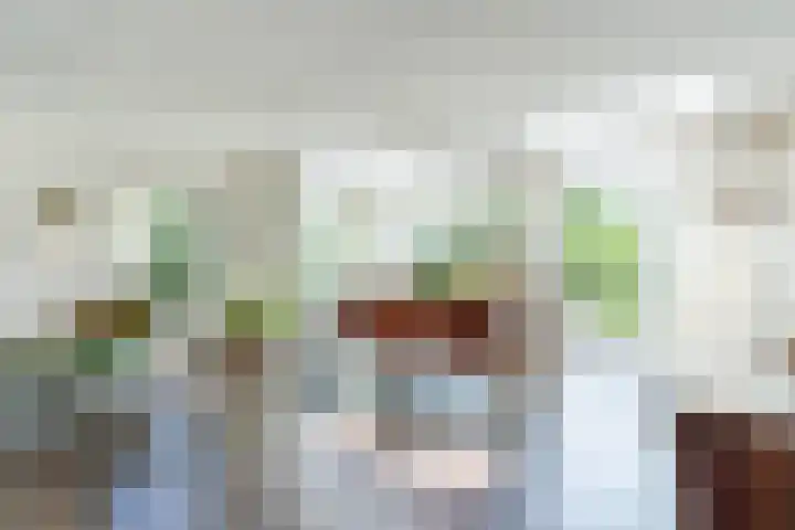 Lijnland 2 Vledder thumbnail 17