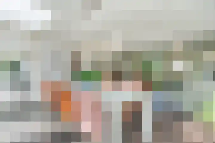 Lijnland 2 Vledder thumbnail 18