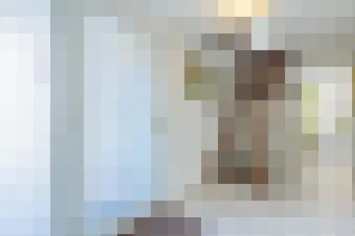 Lijnland 2 Vledder thumbnail 22