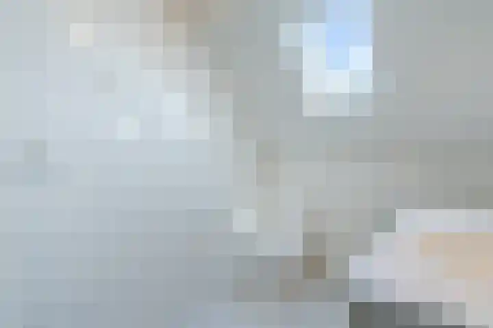 Lijnland 2 Vledder thumbnail 29